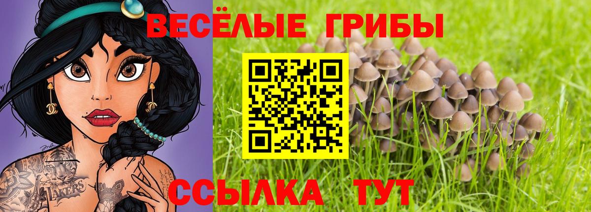 Псилоцибиновые грибы мицелий  Вход с VPN  Коряжма 