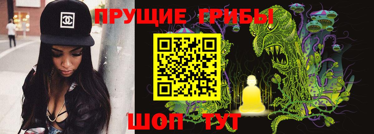 Псилоцибиновые грибы GOLDEN TEACHER Коряжма